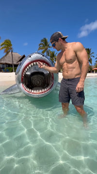 Metal shark rider