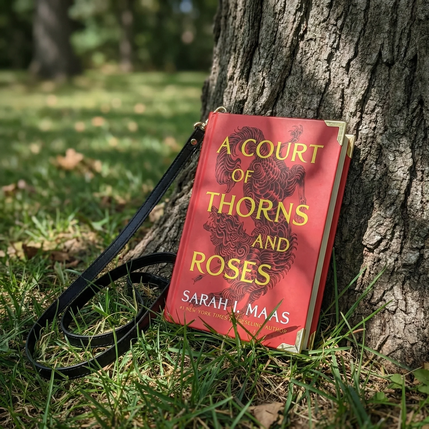 Bookyard Haven™ —  A Court Of Thorns and Roses