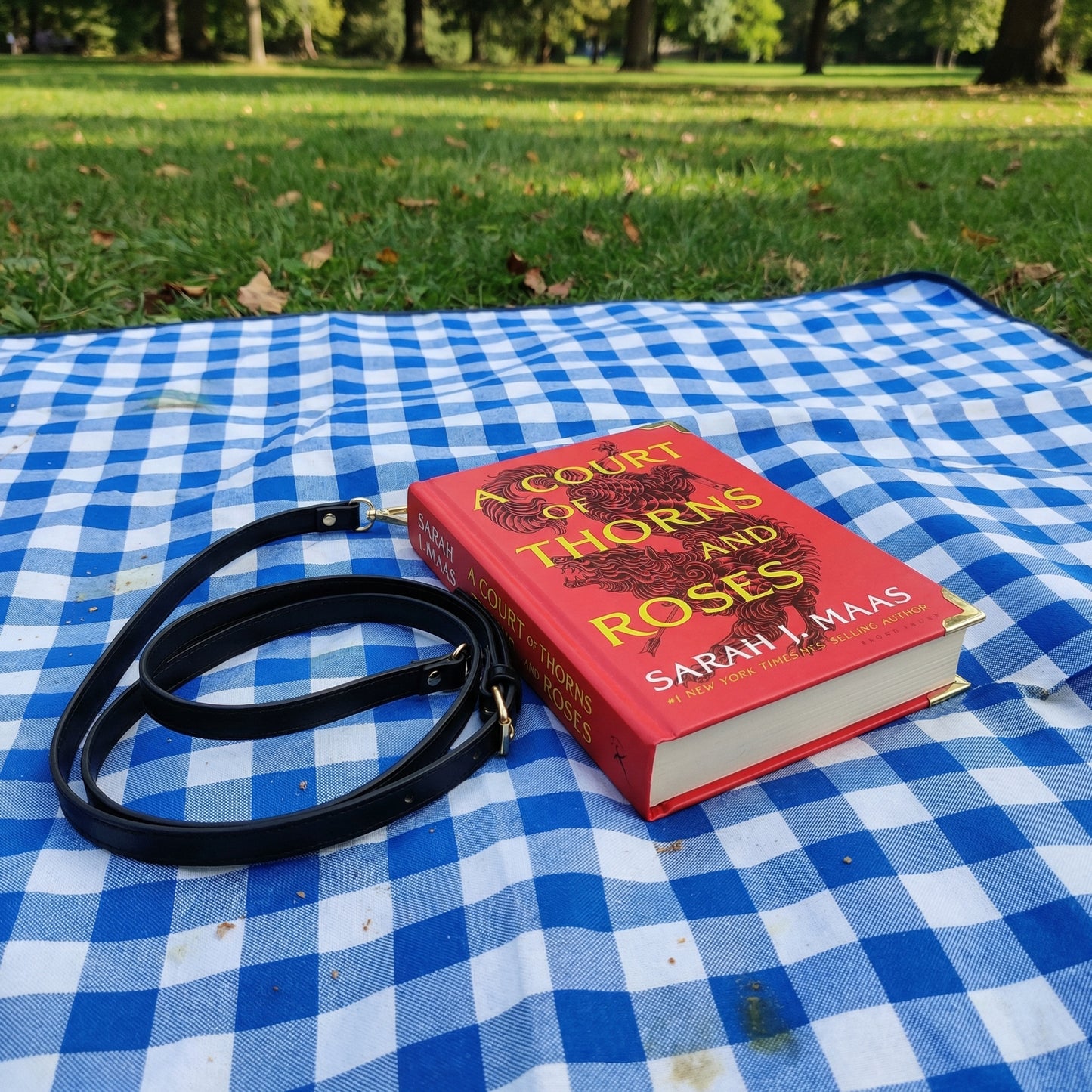 Bookyard Haven™ —  A Court Of Thorns and Roses