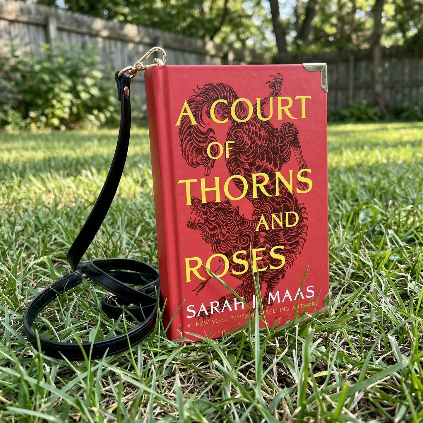 Bookyard Haven™ —  A Court Of Thorns and Roses