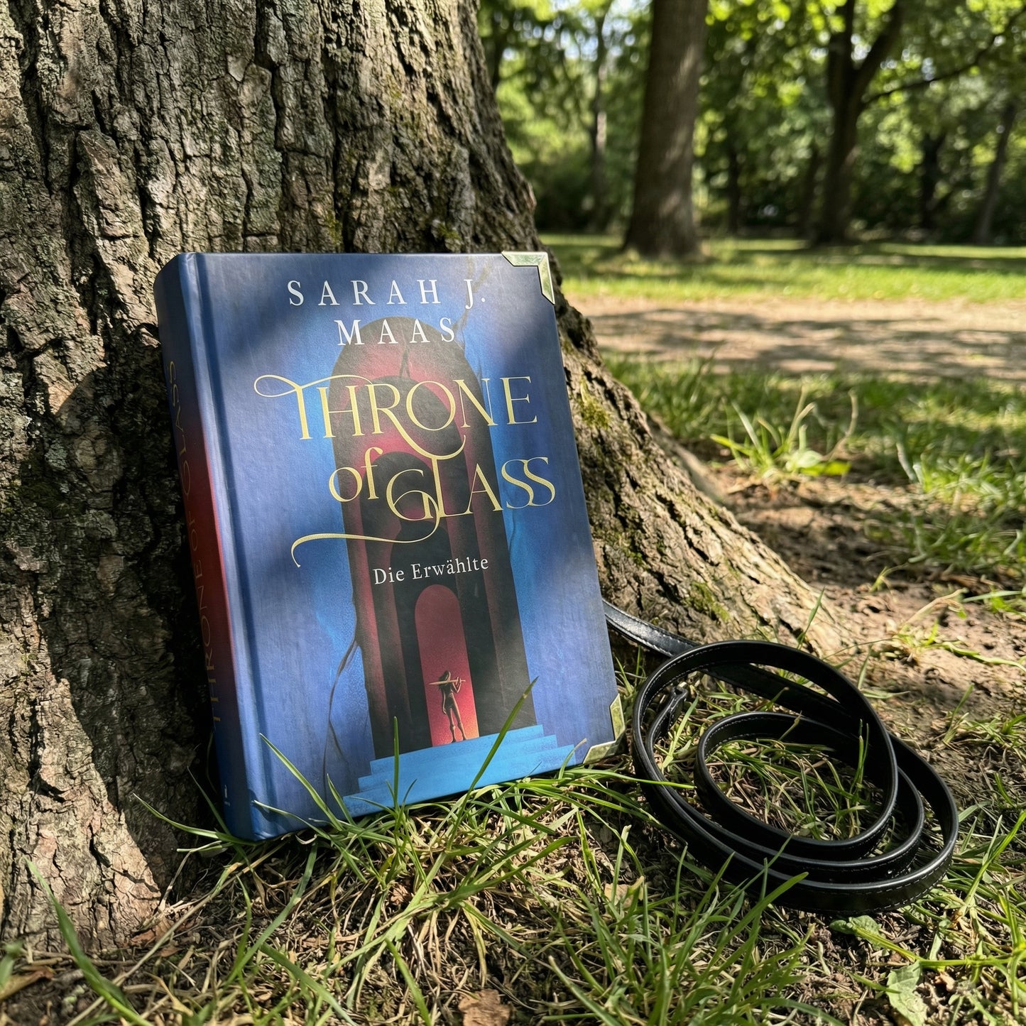 Bookyard Haven™ — Throne of Glass